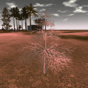 Random Tree