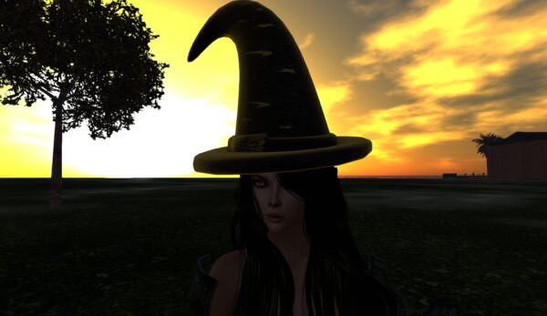 UGLY SIMPLE Witches Hat - Image 2