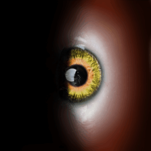 Golden Eyes