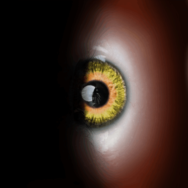 Golden Eyes