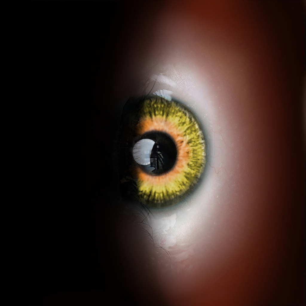 Golden Eyes
