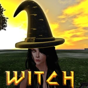 UGLY SIMPLE Witches Hat